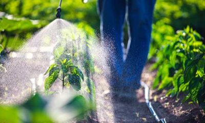 ΦΩΤΟ ΓΙΑ ΨΕΚΑΣΤΗΡΕΣ - Αντιγραφή