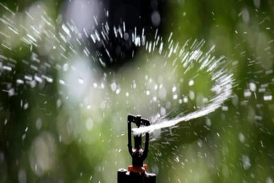cropped-Sprinkler_Irrigation